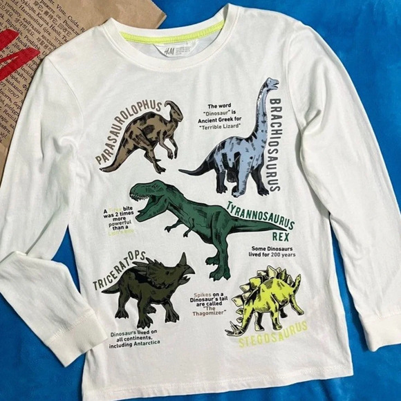 H&M Other - H&M Kids Dino Shirt Cotton and Shiny Dinosaur Print Size 5T